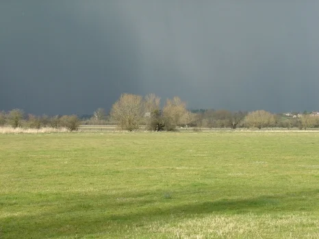 Curlew Monitoring in Wilts, Worcs and Gloucs