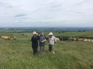 Mike Smart, Amanda Perkins and Phil Sheldrake