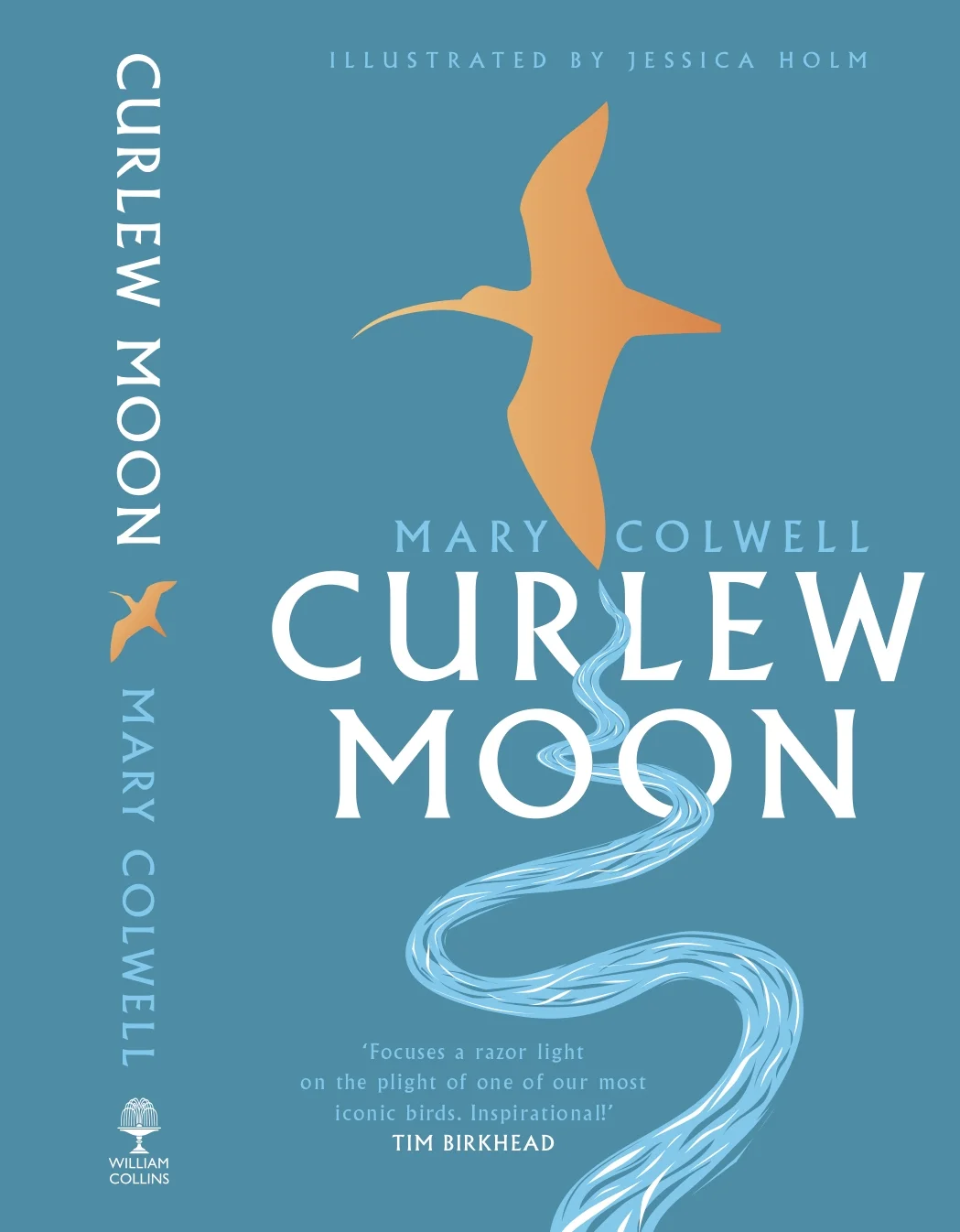 Curlew Moon book cover