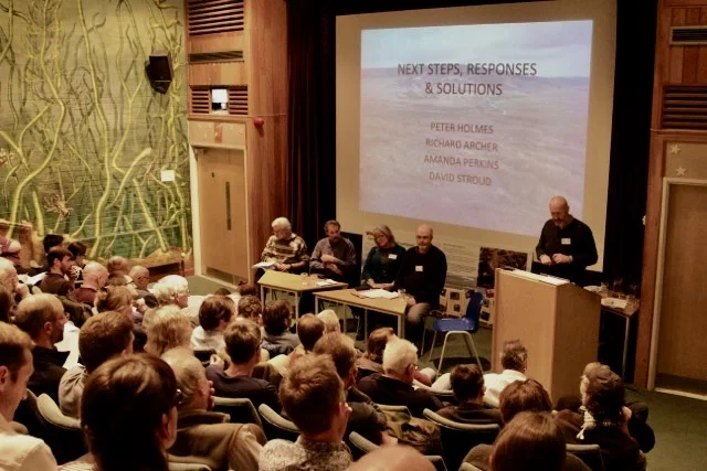 S England Curlew Workshop