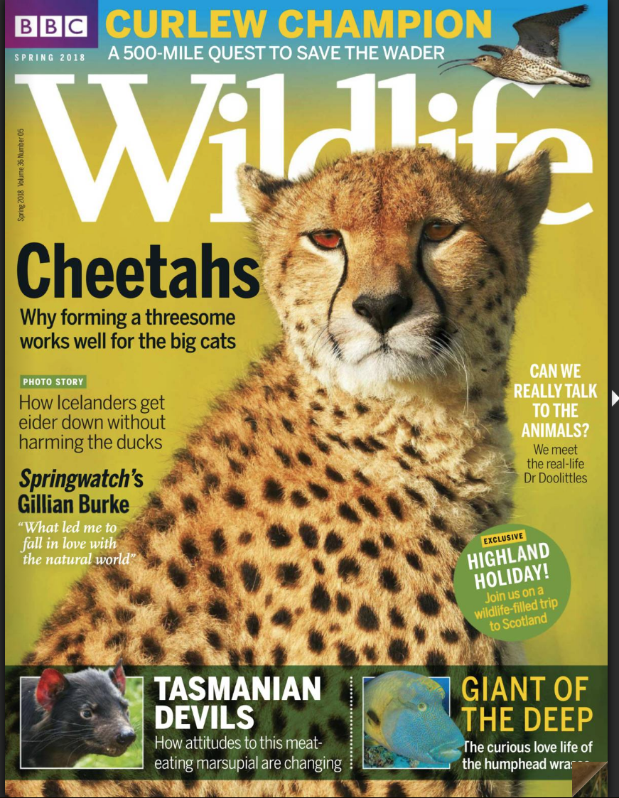 Screen Shot 2018-08-14 at 15.59.20.png