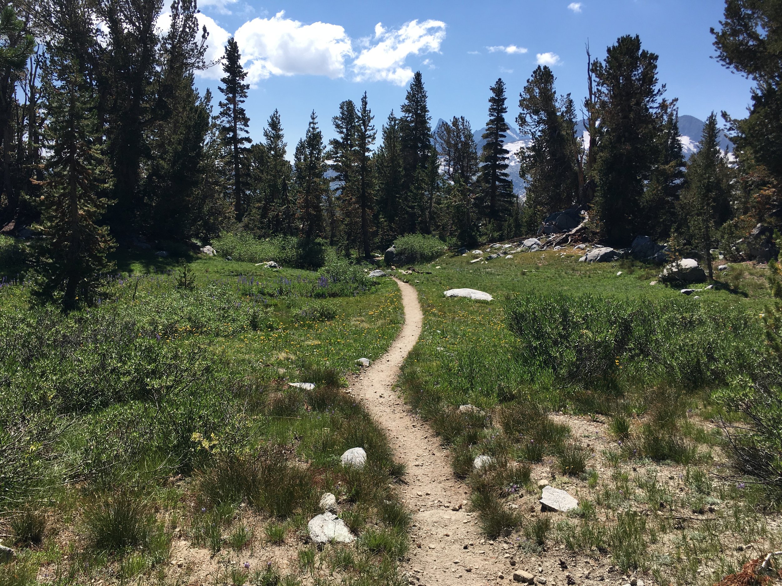 Creationtide Reflections