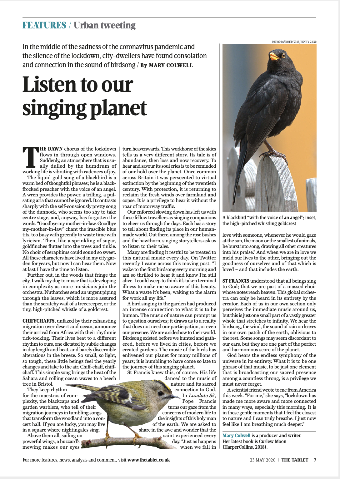 Screenshot 2020-06-23 at 09.06.04.png