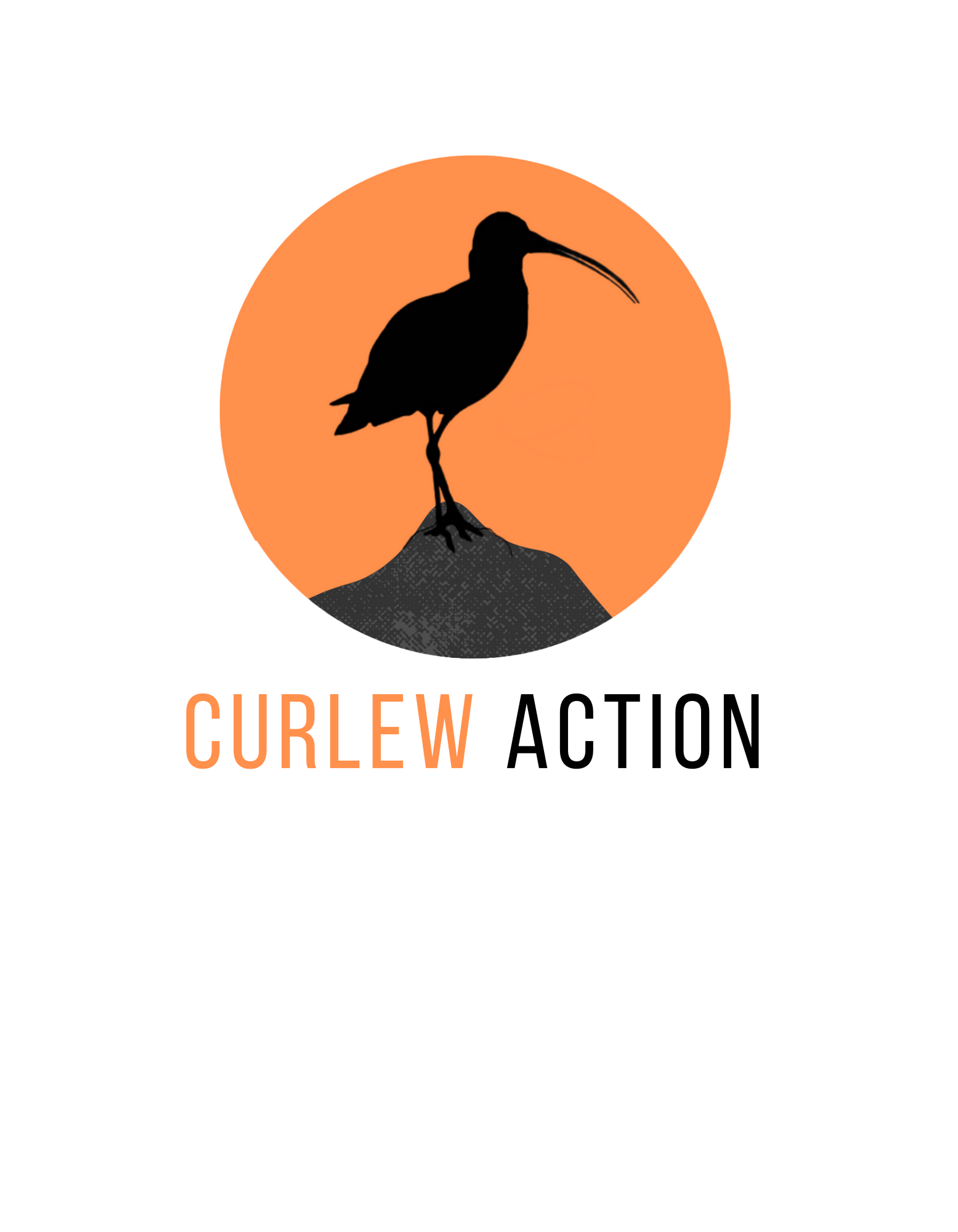 www.CurlewAction.org