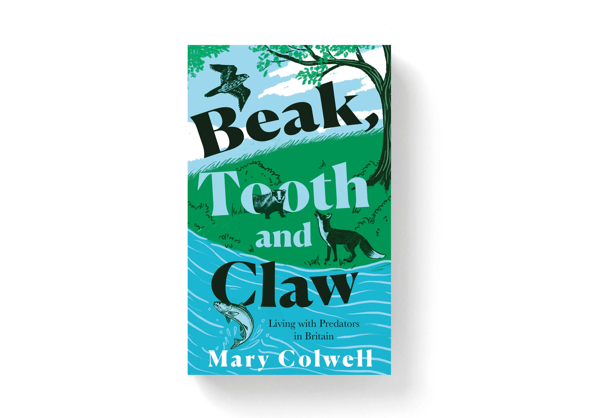 Beak tooth and claw V3.jpg
