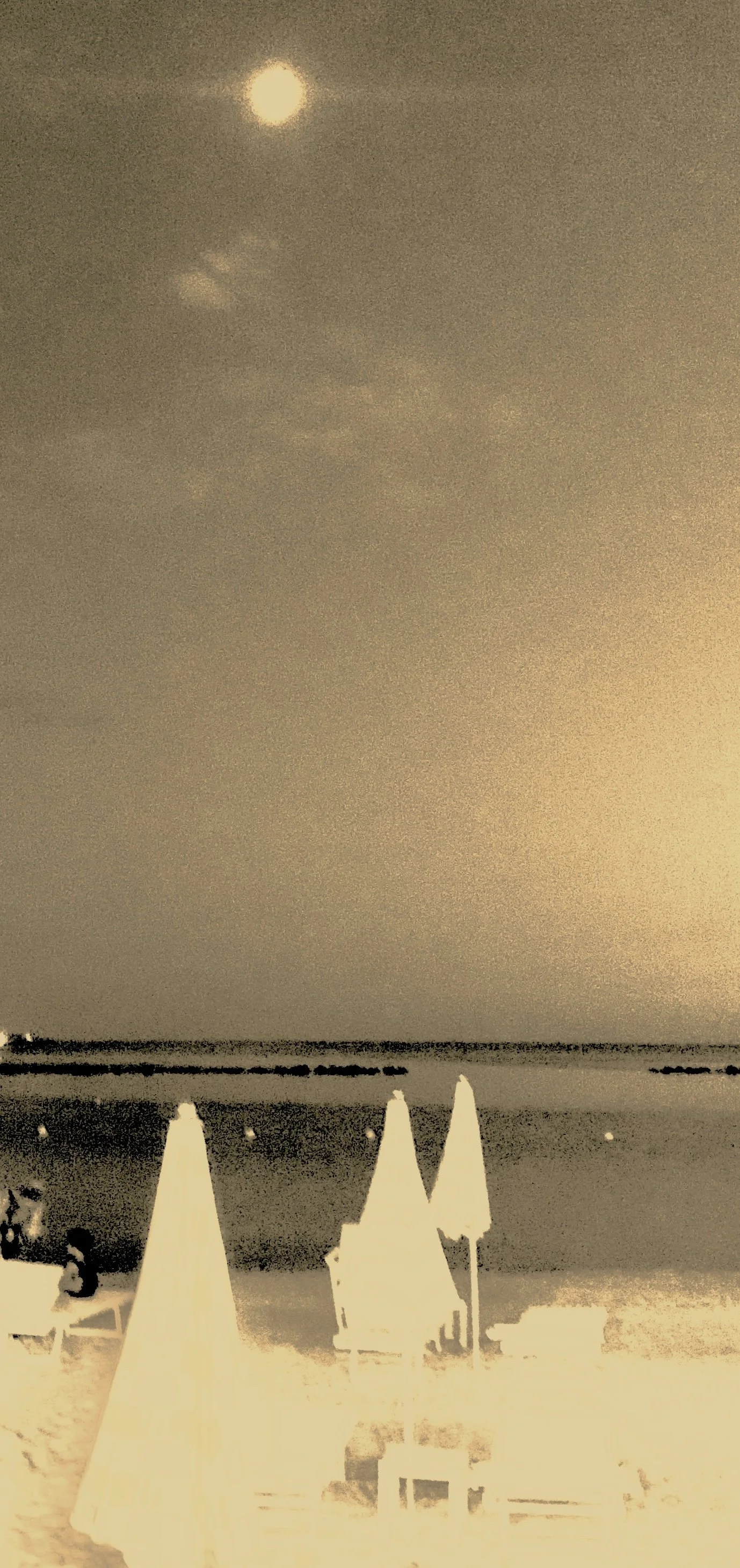 File 00005.JPG