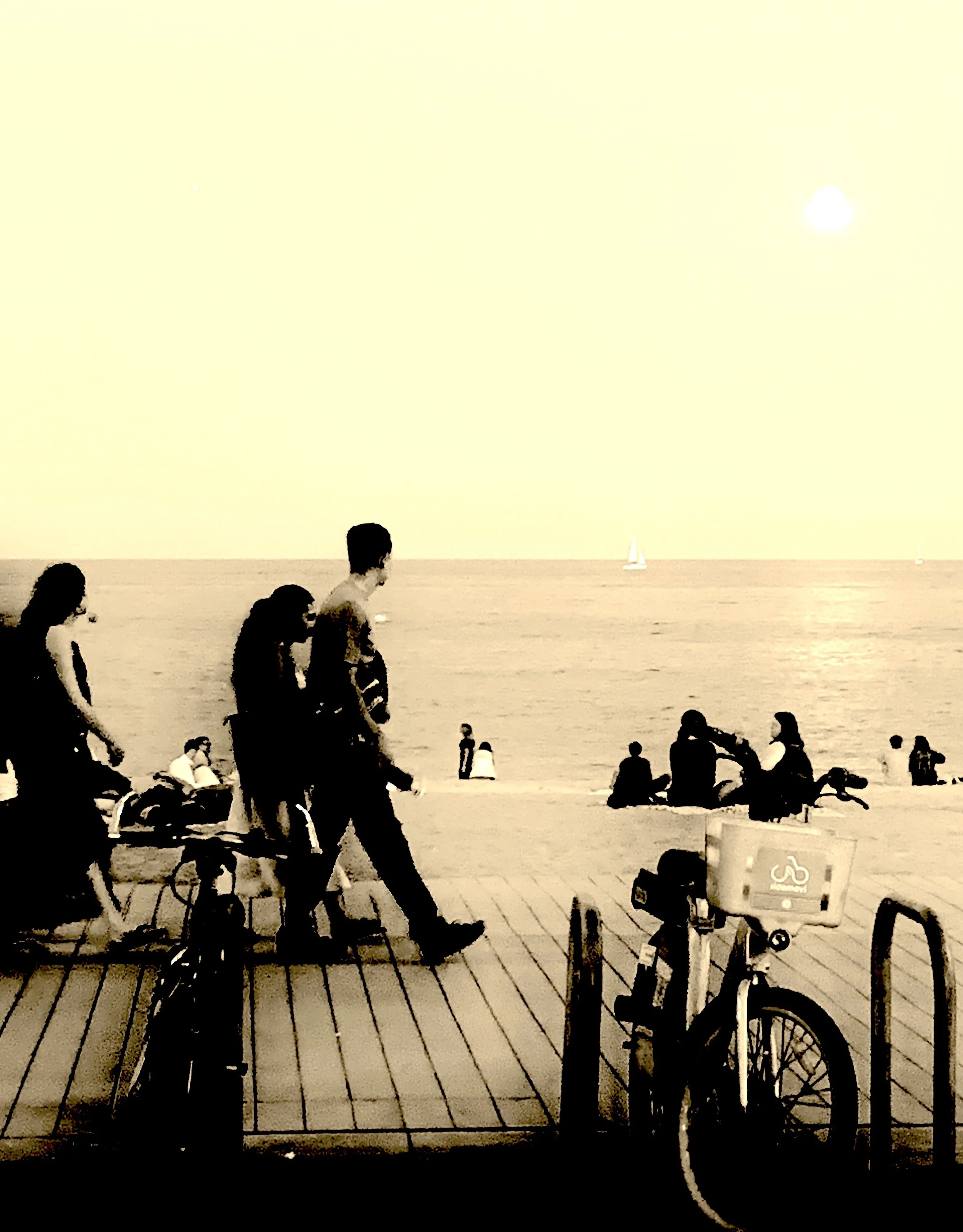 File 00019.jpg