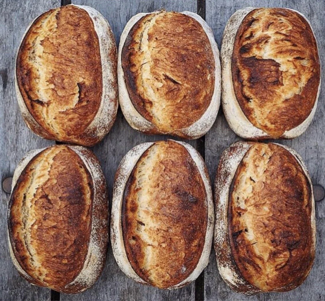 SOURDOUGH IMG_5700.JPG