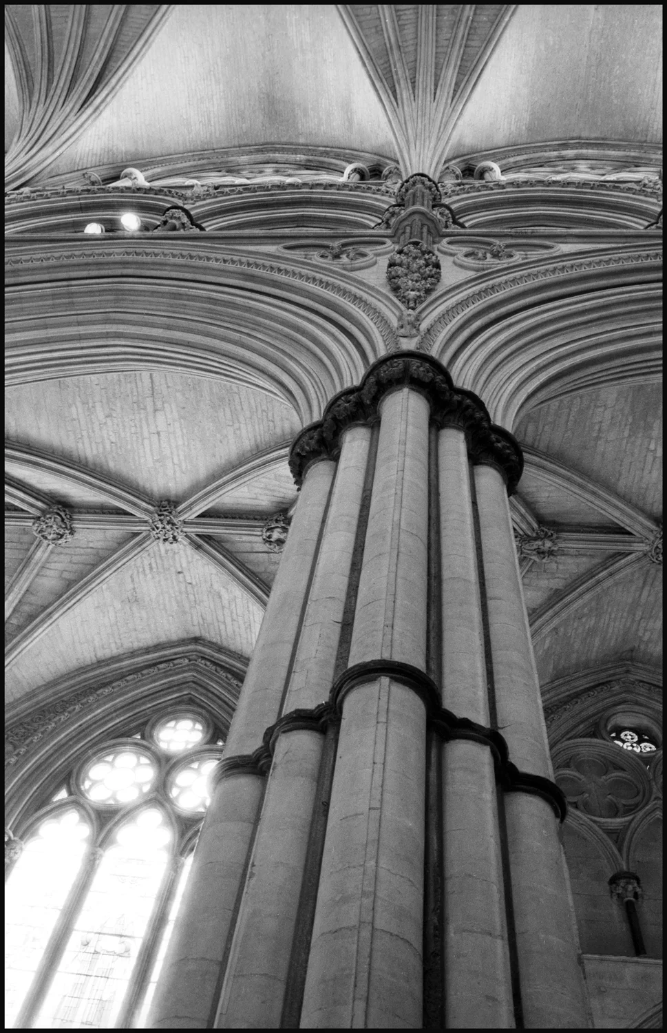 Lincoln-Cath-pillar-Bord.jpg