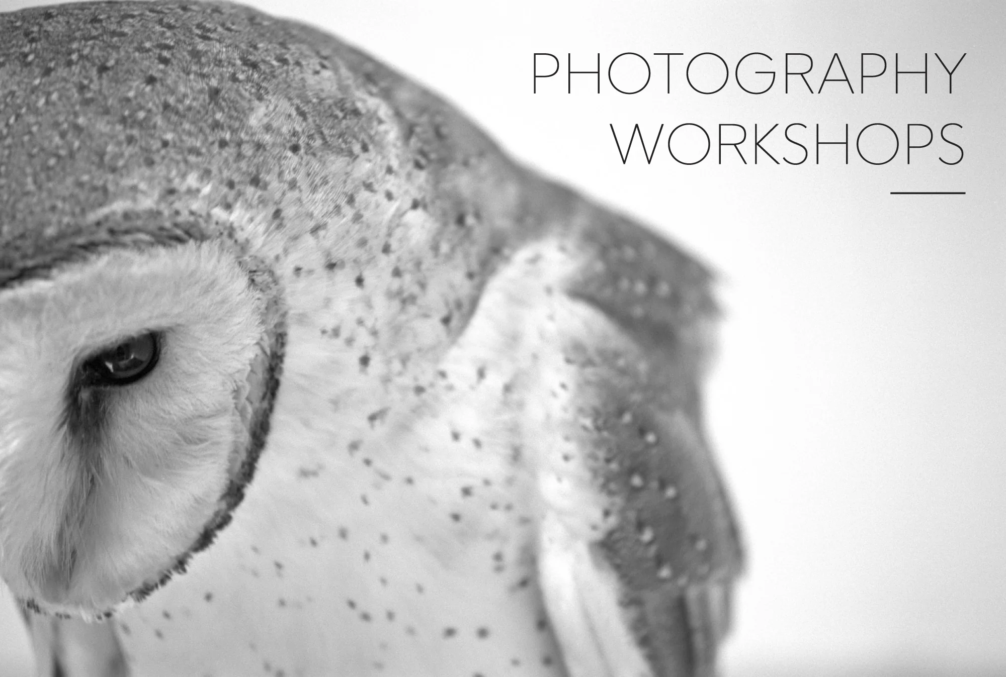 PHOTOGRAPHY WORKSHOP