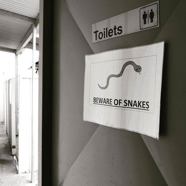 Only in Australia!!
Look before you sit!

#australia #toilet #snakes #muchea #bathroom #warning #westernaustralia #reptilesofinstagram #reptiles #danger #dangerous #blackandwhite #blackandwhite #monochrome