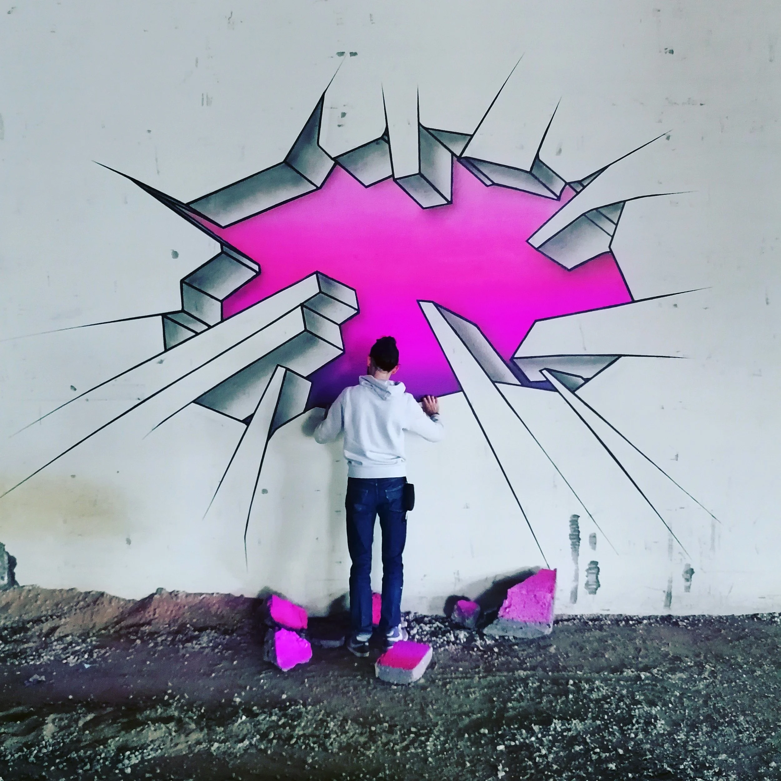 "Project Window"