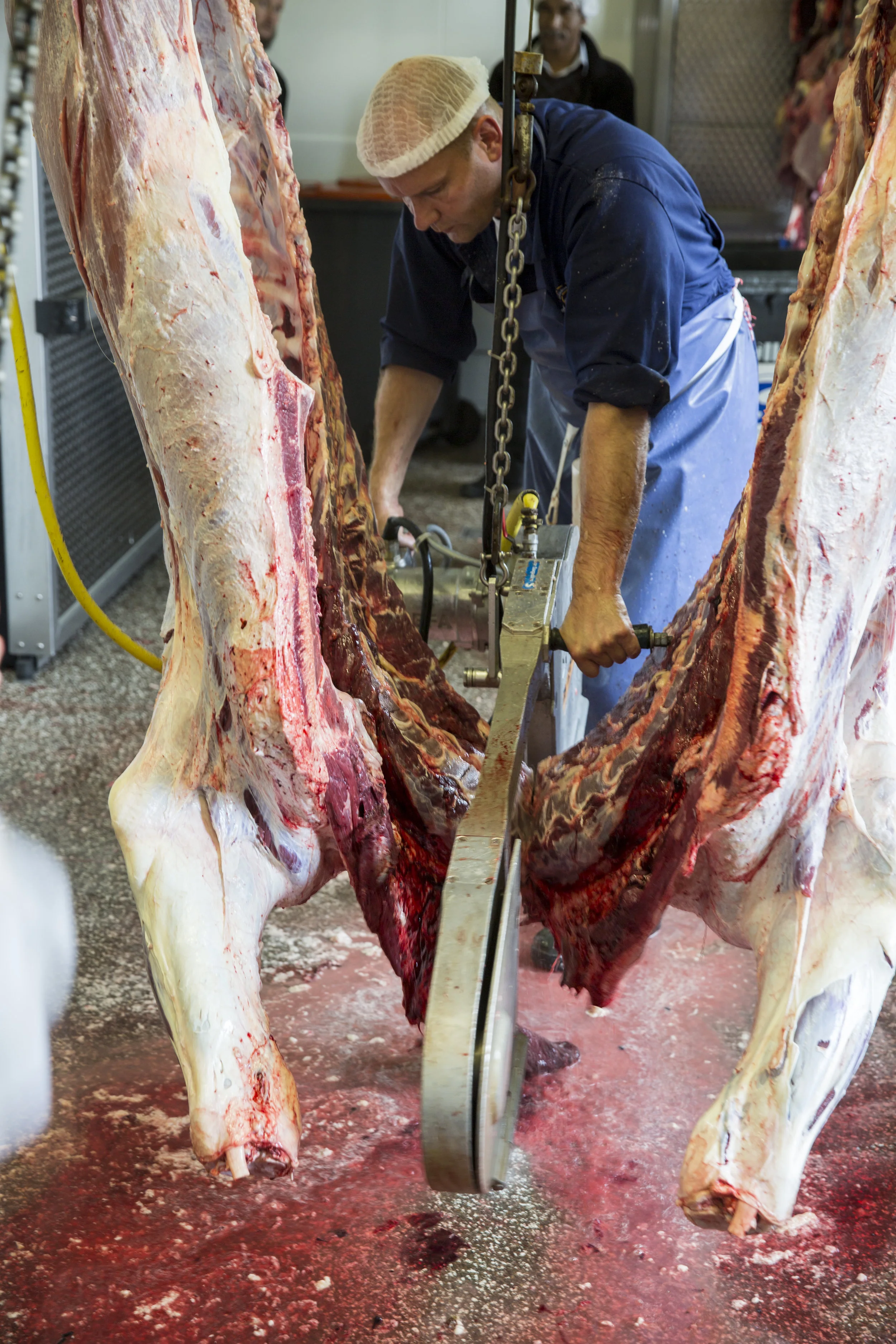Meat the Butchers25.jpg