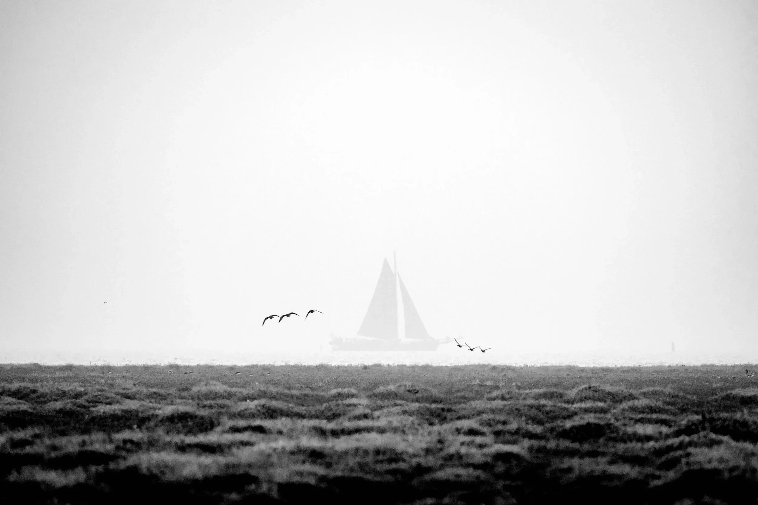 Hazy Daydream