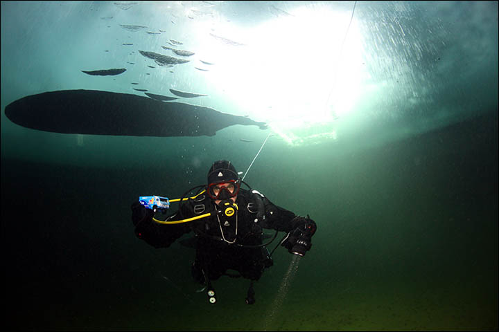 inside front page large with a diver.jpg