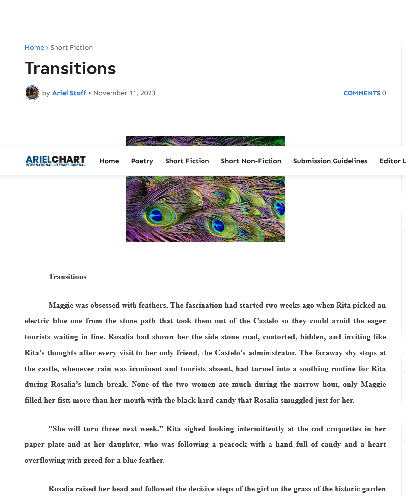 Transitions (2).png