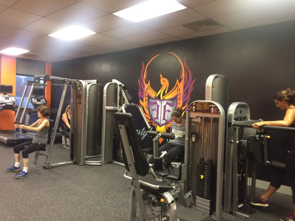 Freestyle Fitness