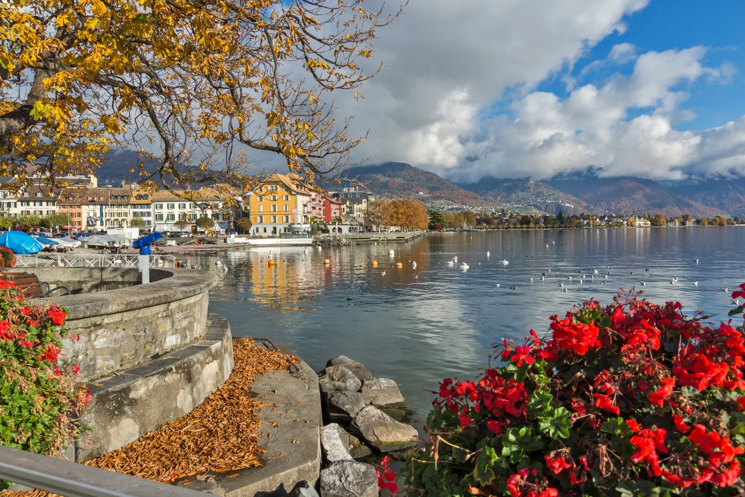 bigstock-Panorama-with-flowers-of-Vevey-117183362.jpg