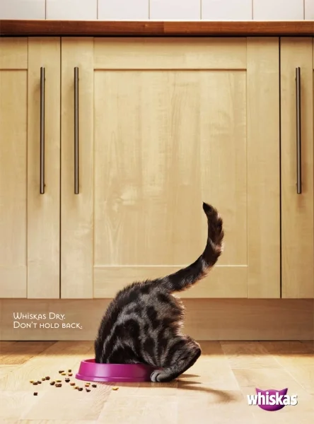 Whiskas 'Bowl'