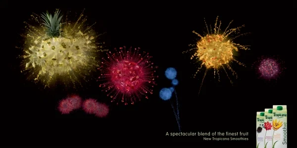 Tropicana 'Fireworks'