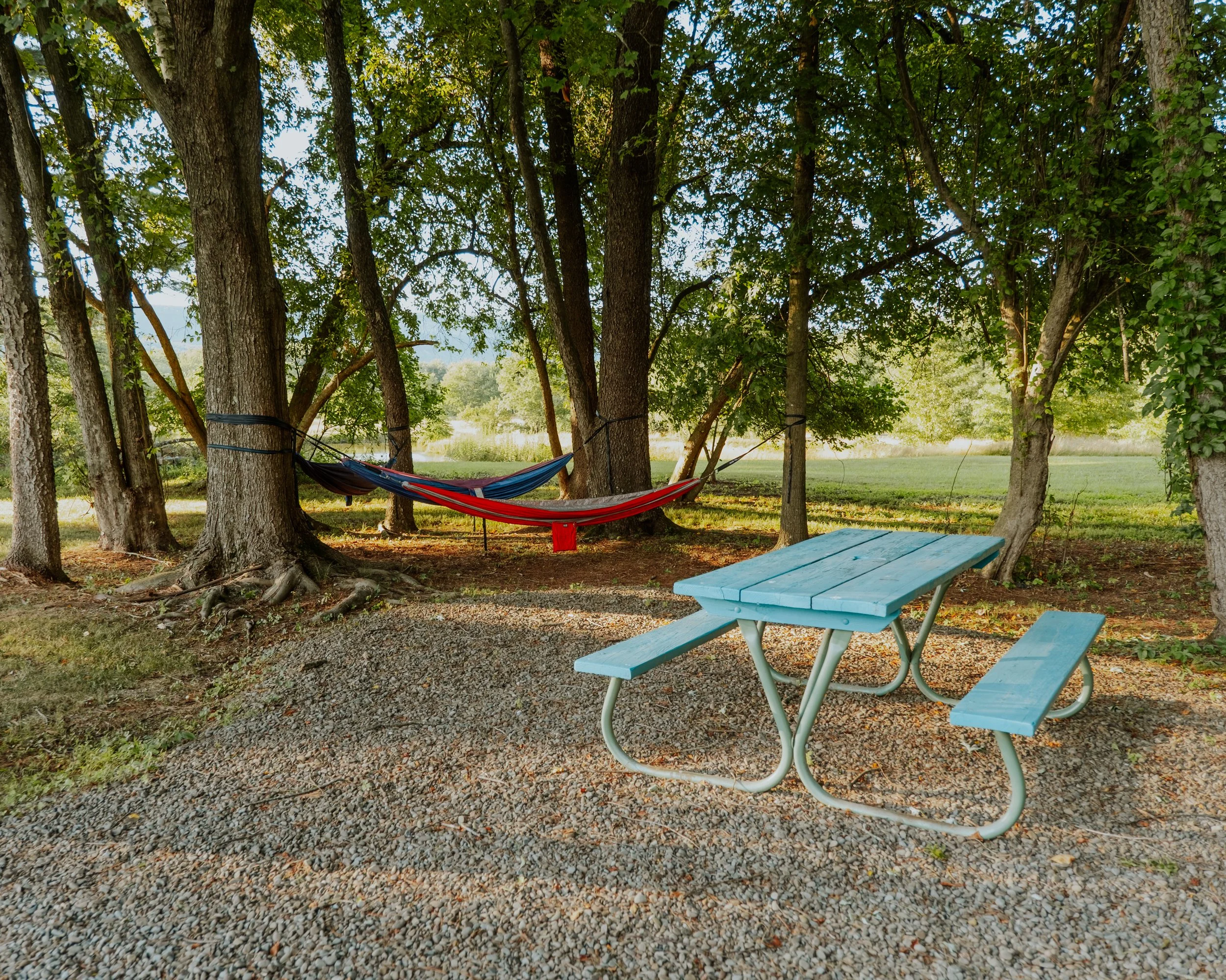thefarm-2200 hammocks and picnic table.jpeg