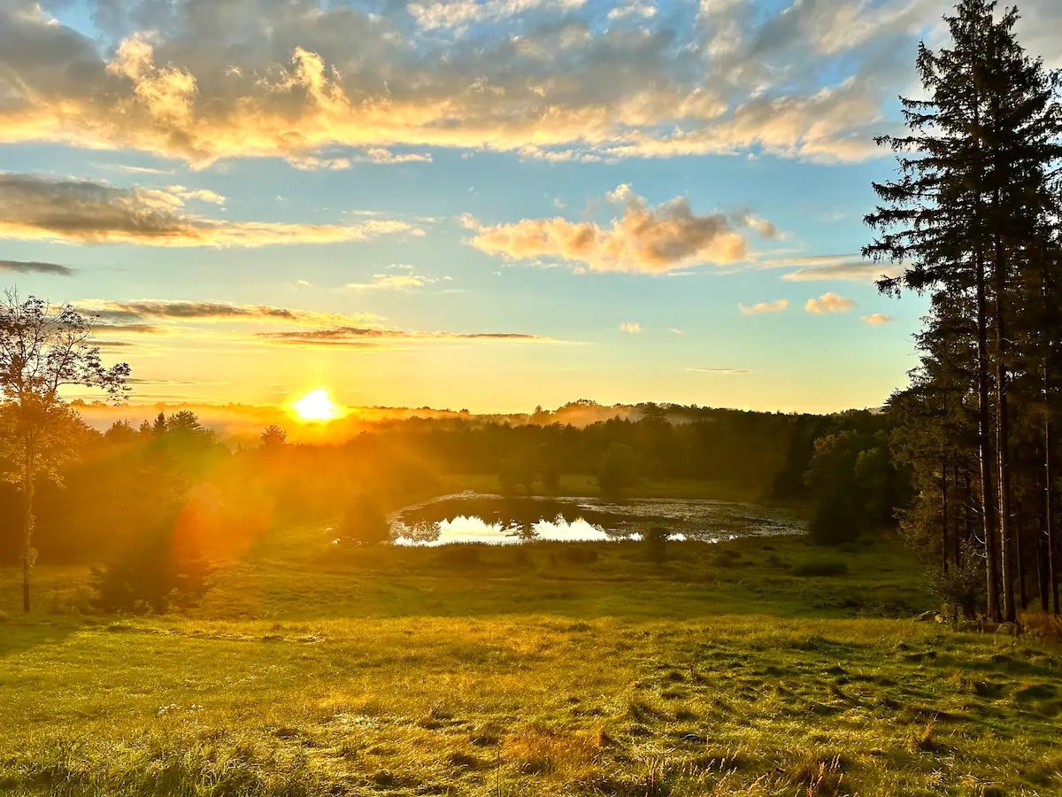 sunrise_over_pond_field.jpg