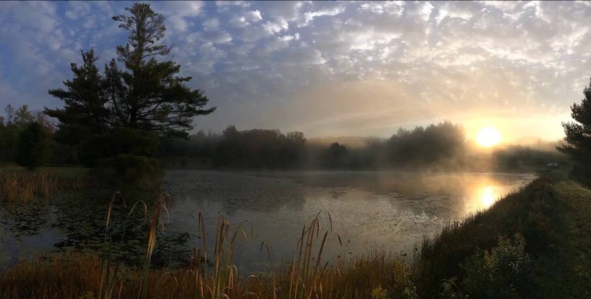 pond_sunrise_reeds.jpg