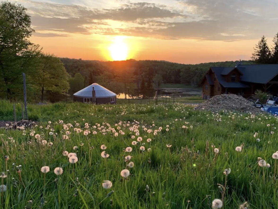 Sunset over a rural landscape with a field of white dandelions, a barn, a house, and trees in the background.