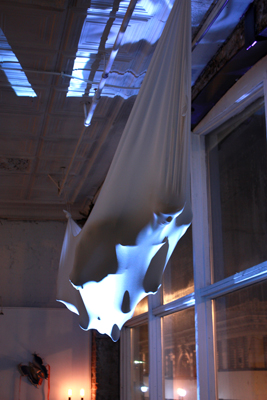 Installation: The Creation, 2010, Saint Louis, MO, Stretch Fabric and Mannequine