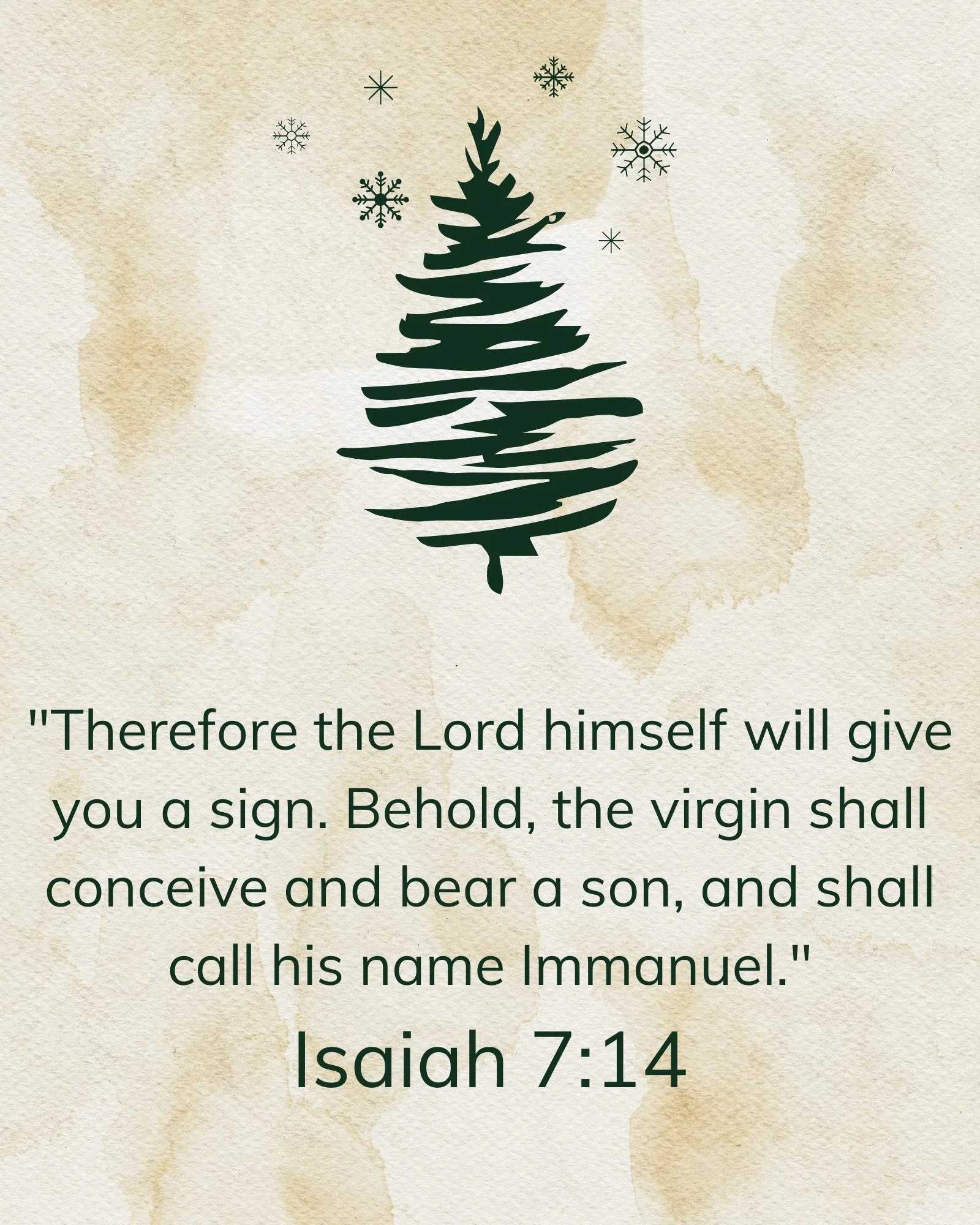 Immanuel - God is with us. 🤍🌟
A simple truth that brings so much hope this season. 

#moxieministries #ichoosemoxie