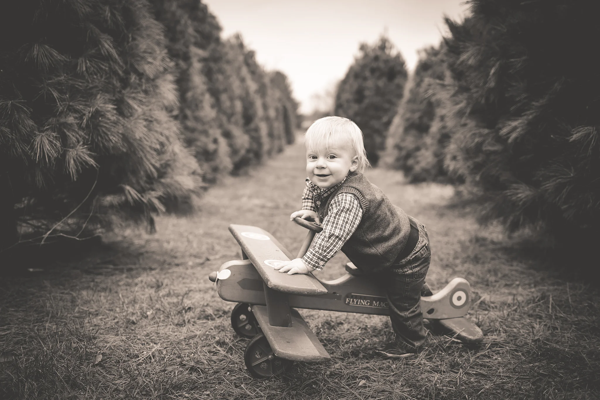 Signature Lime Photography - Indianapolis, IN - Children