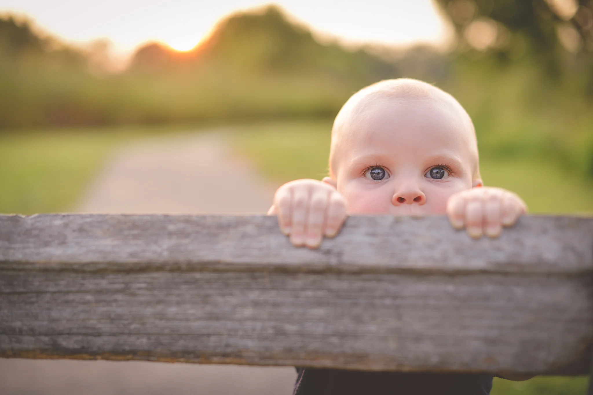 Signature Lime - Child Photography - Zionsville, Indiana