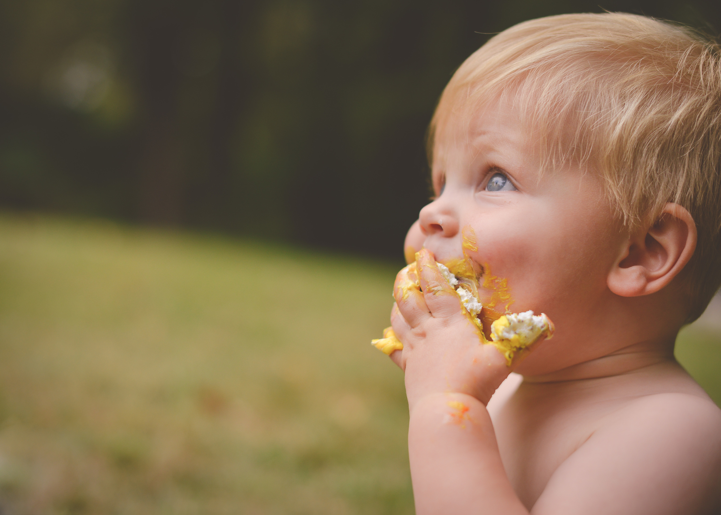 Indianapolis Zionsville Family Photographer