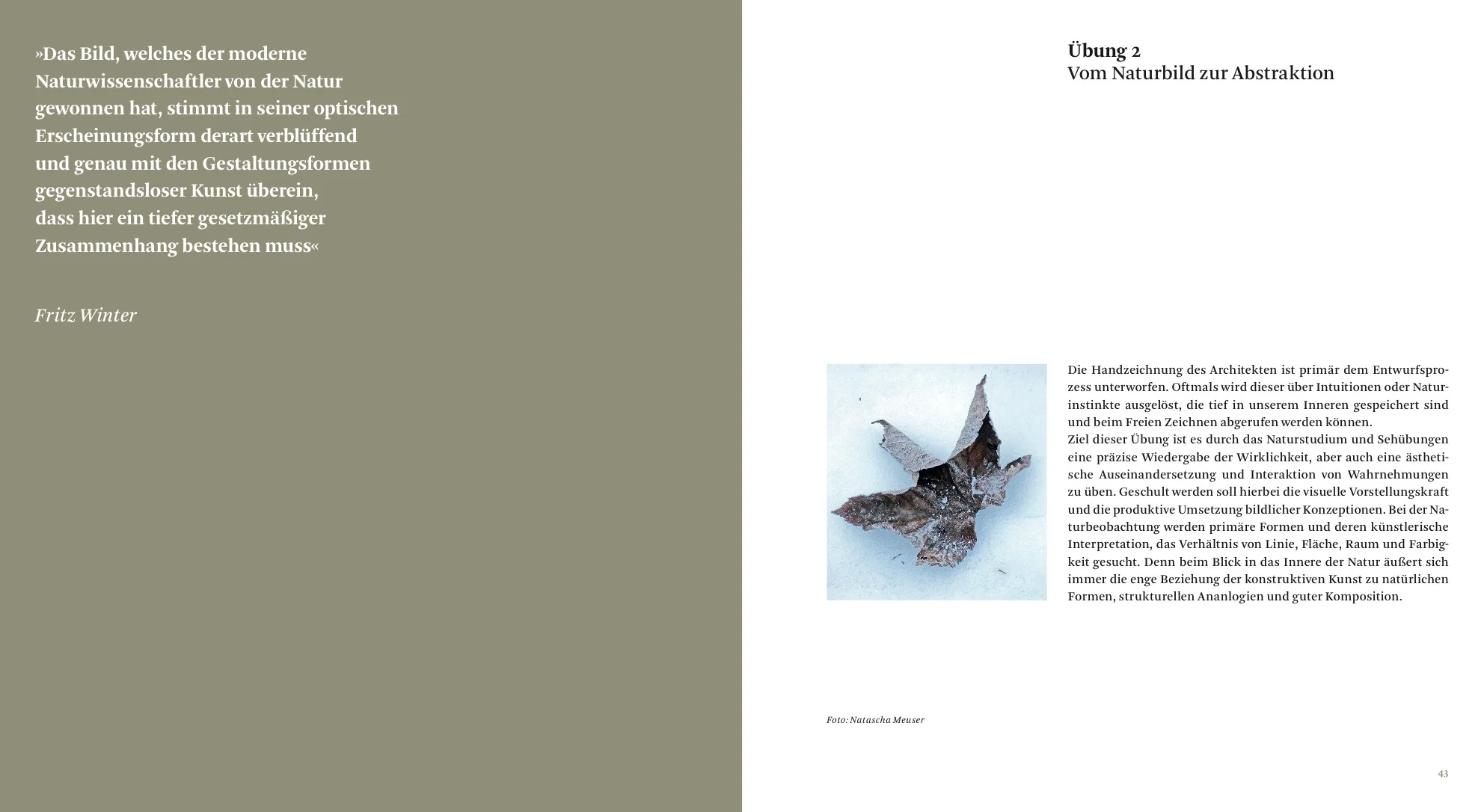 Sammelmappe1 21.jpeg