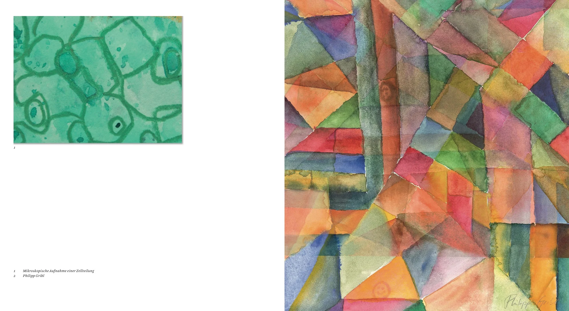 Sammelmappe1 31.jpeg