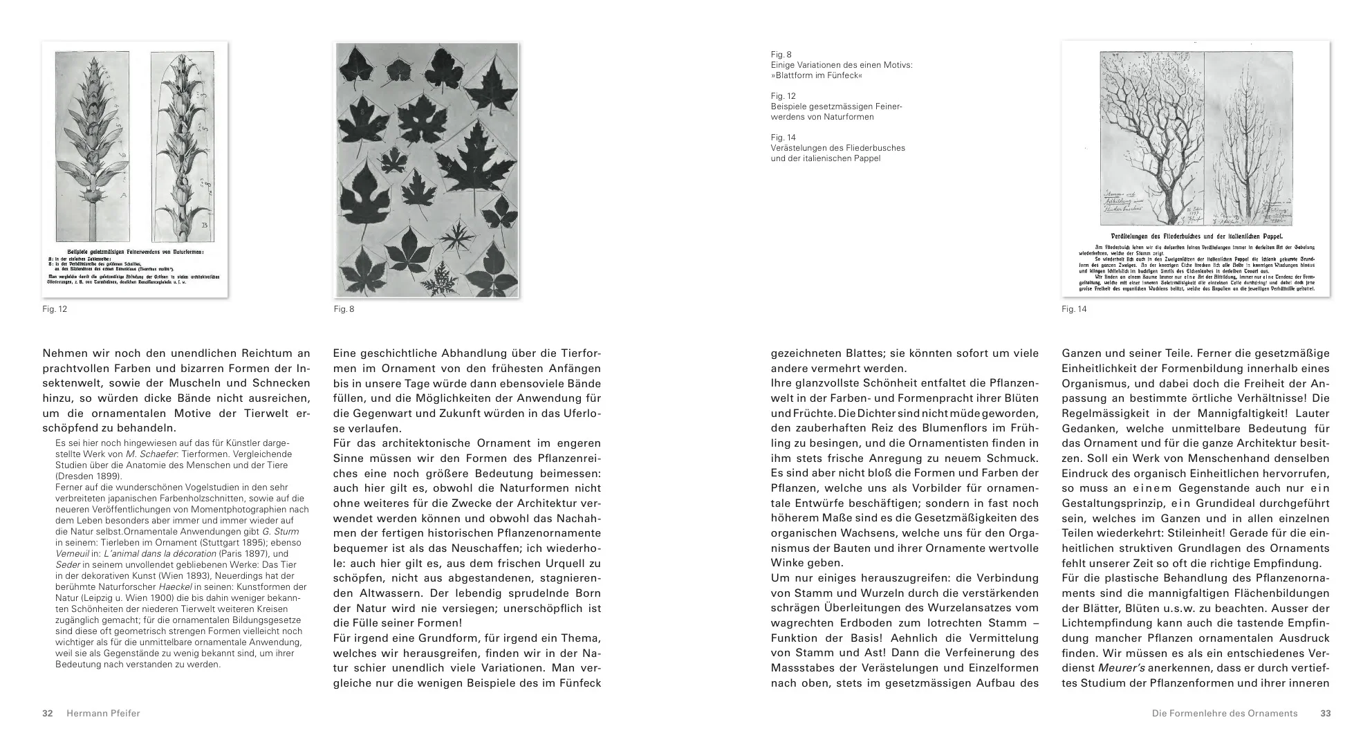 Meuser_Ornament_WS2016 17.jpeg