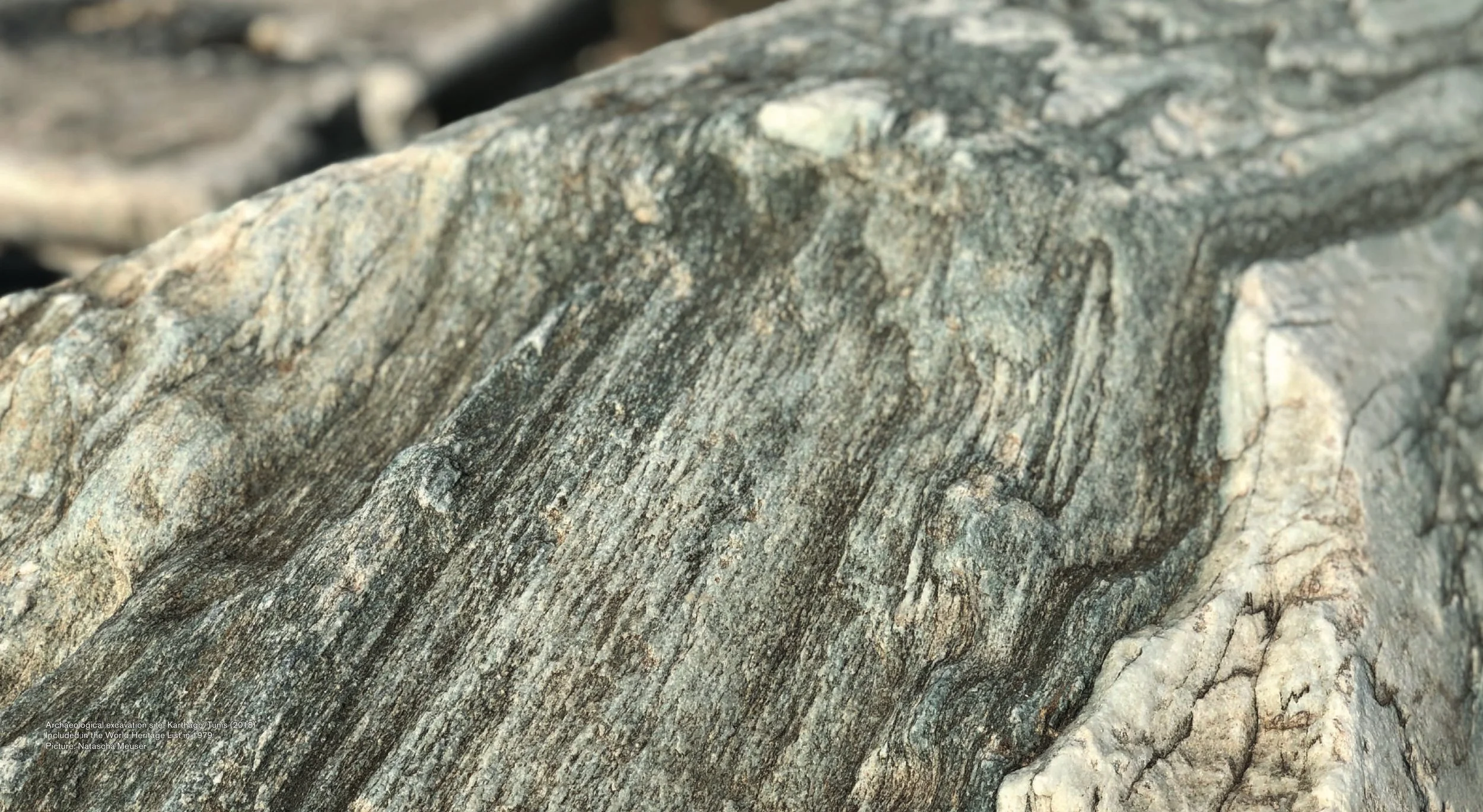 1826_ACHS_Insides_DRUCK_Doppelseite-komprimiert 42.jpeg