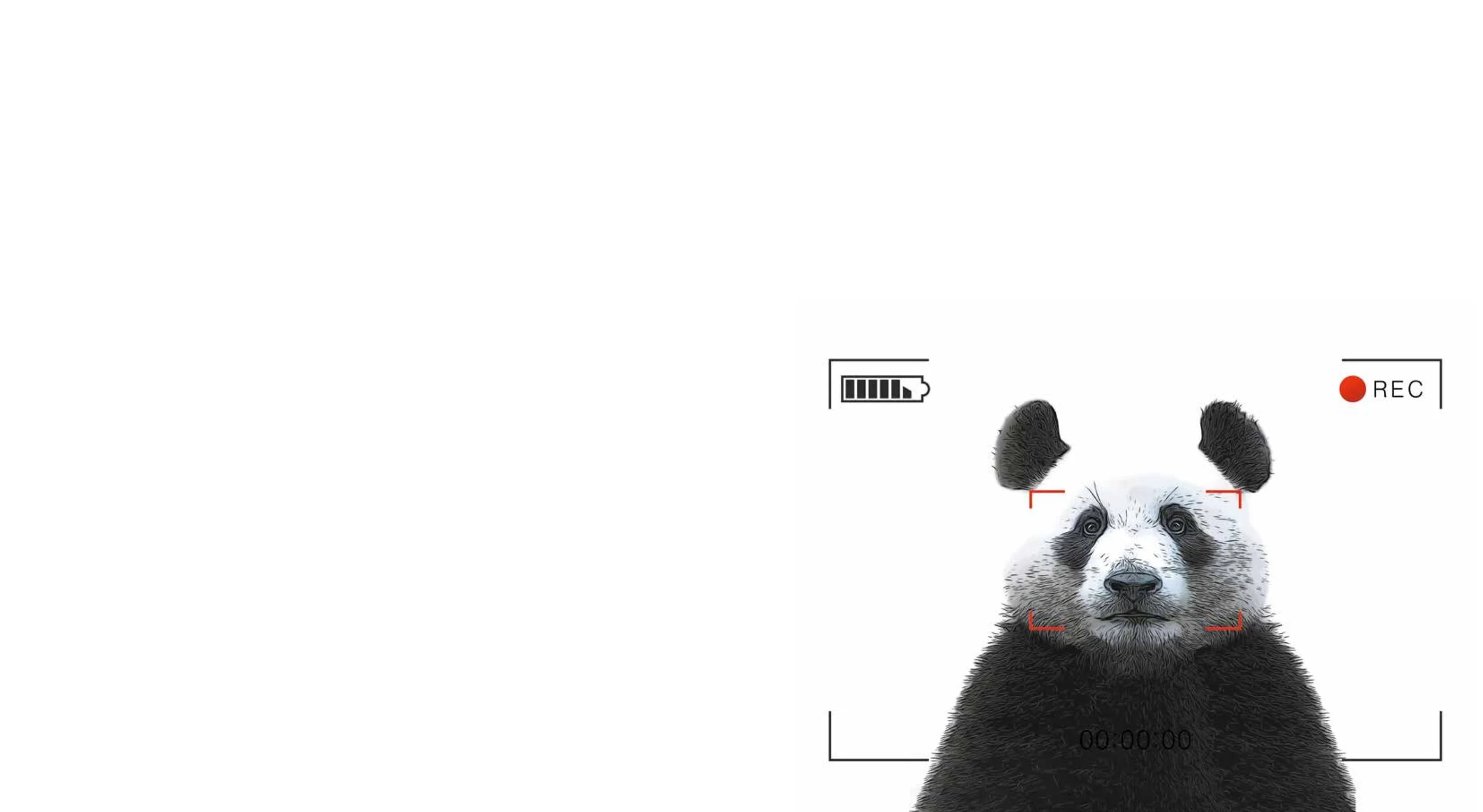 115-5_Building_for_Animals_online 4.jpeg