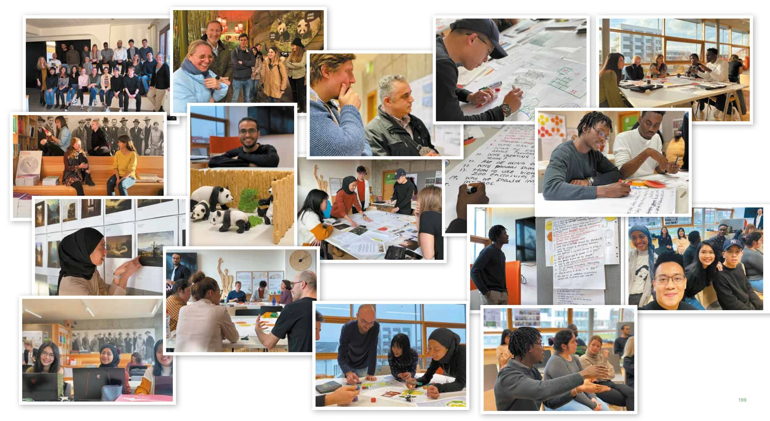 115-5_Building_for_Animals_online 100.jpeg