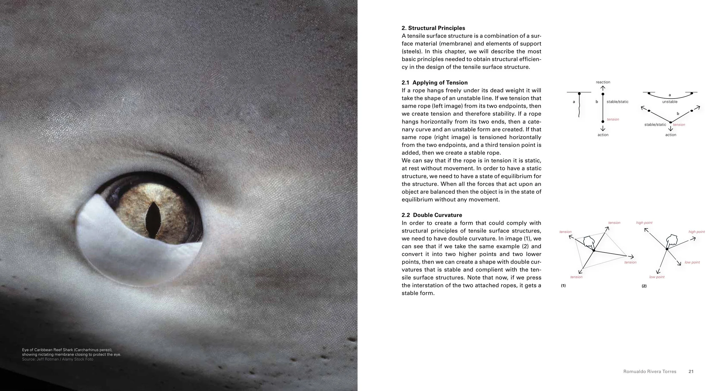 117-9_Membrane_Structures 11.jpeg