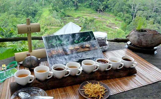 Bali-Coffee-and-Spices-Plantation.jpg