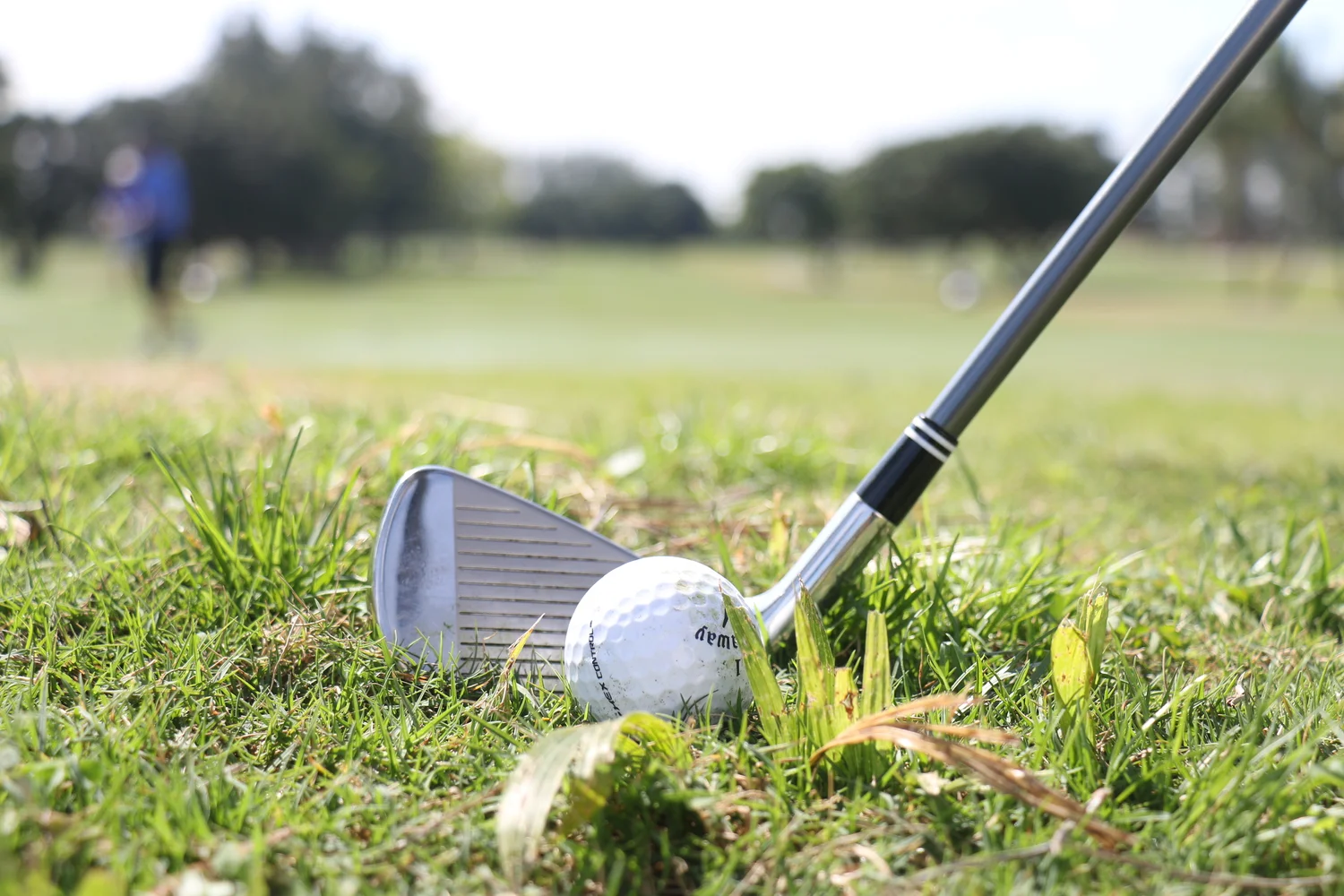 Golf and Tennis — Hollybrook Golf and Tennis Club