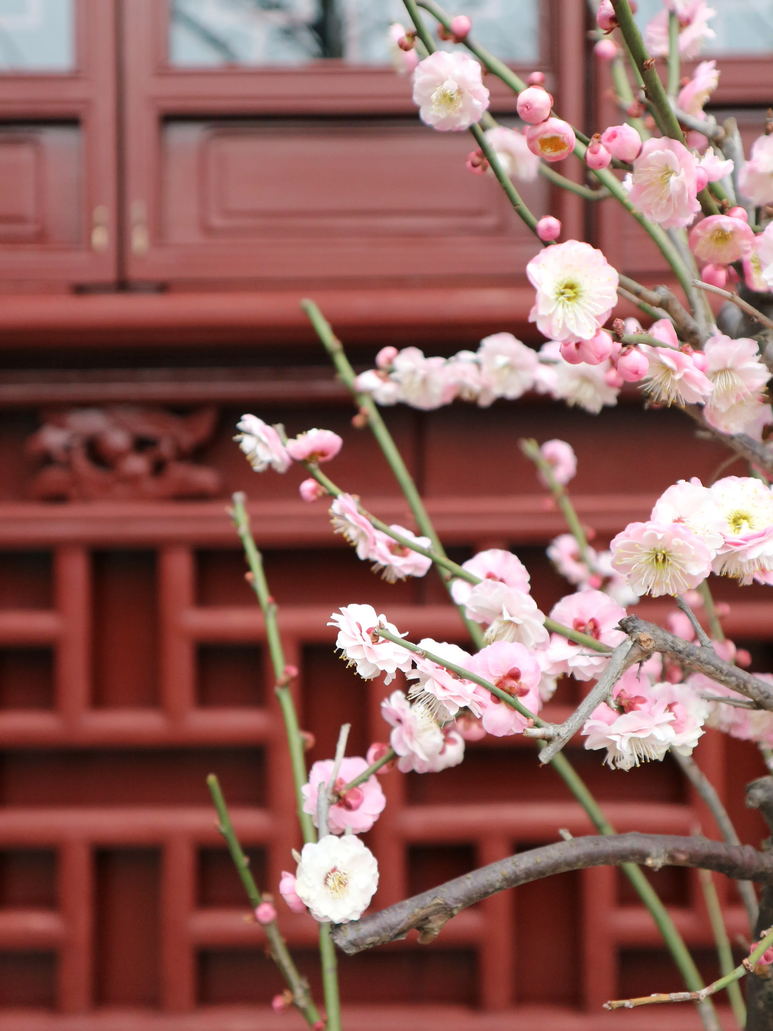 Yuyuan Garden