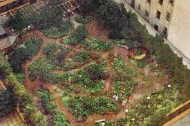 Aerial View Today