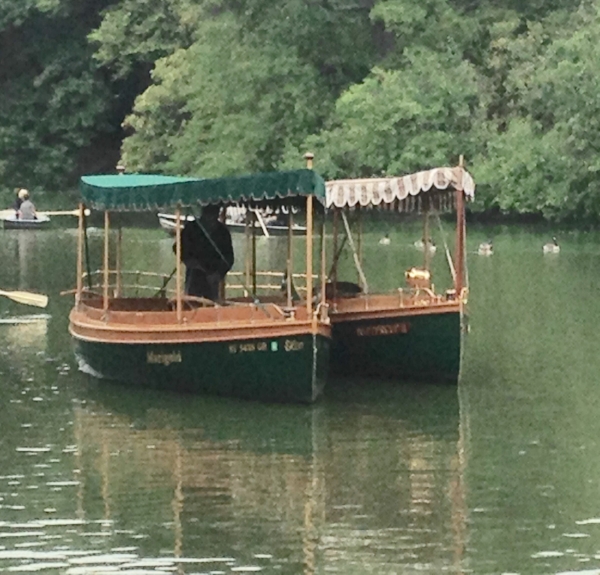 The electric boats