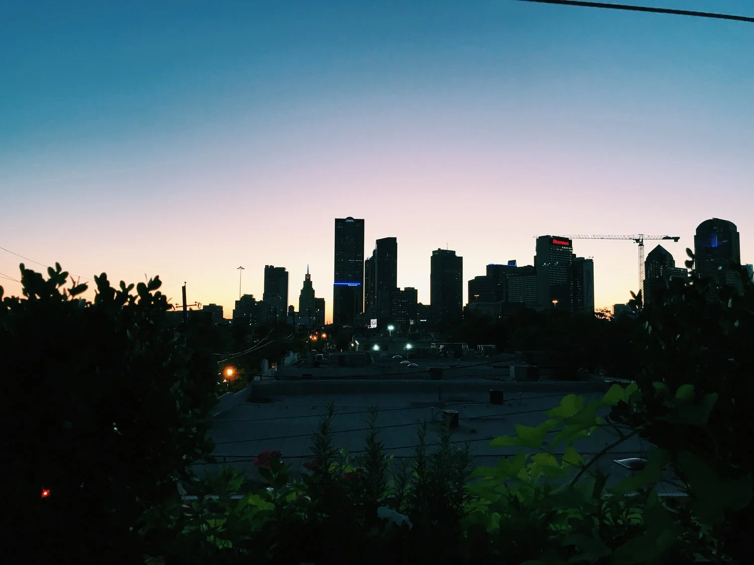 On Coming Home