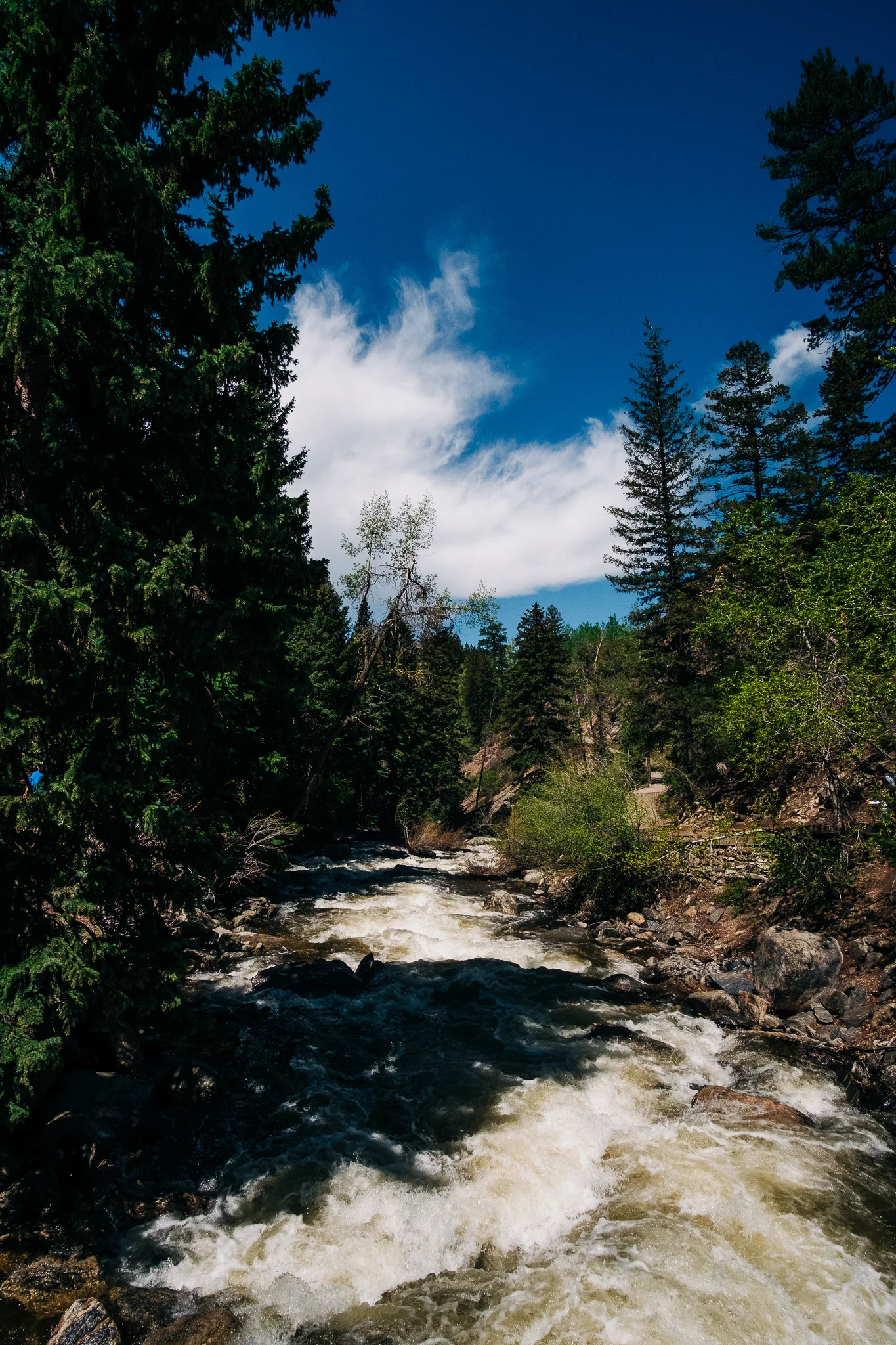 DSCF7424.jpg