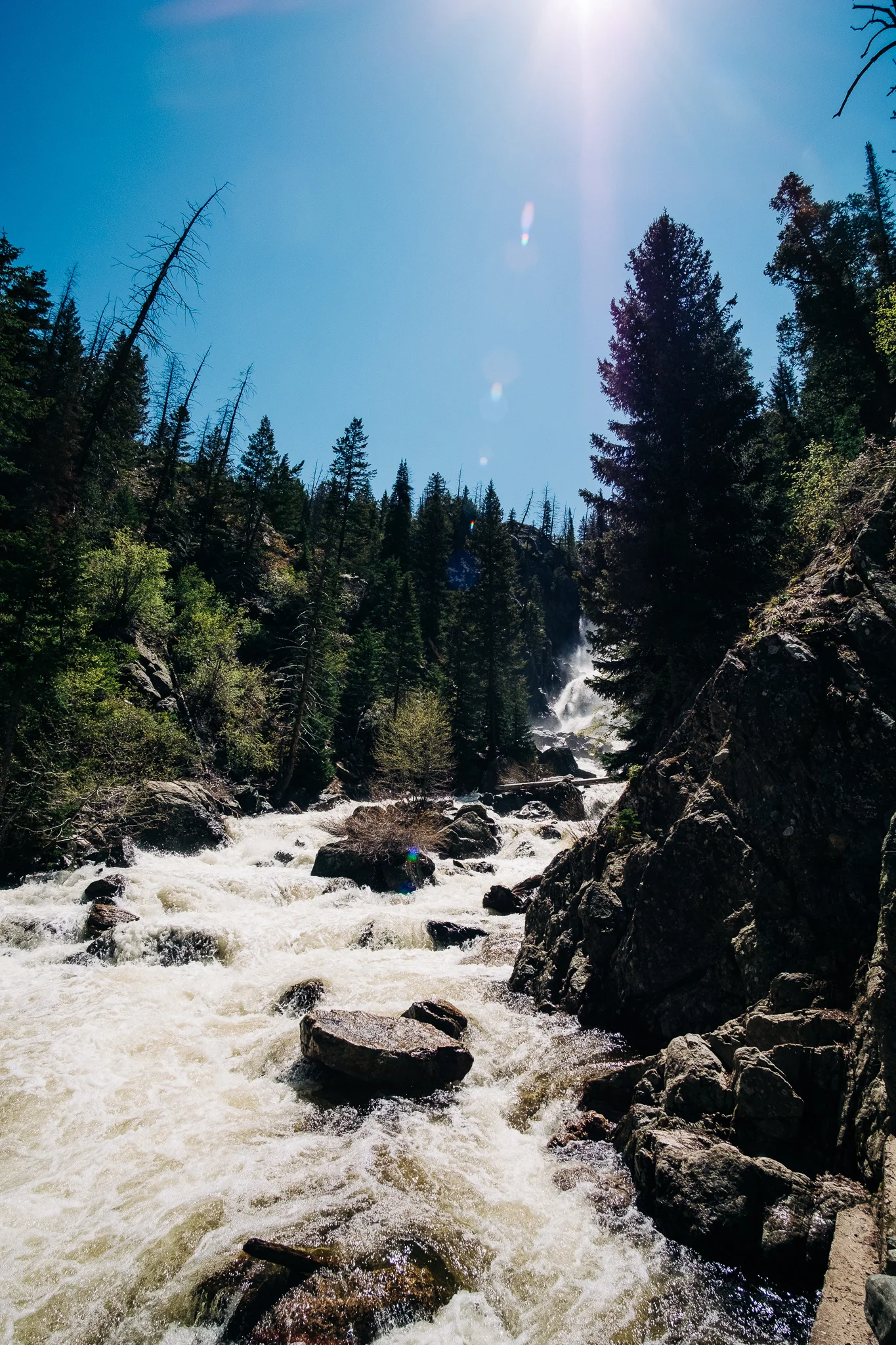 The Stack | Summer '19