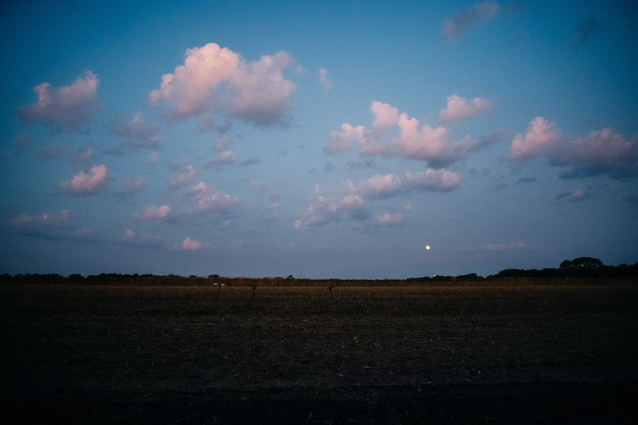 10 Things I'm Loving Lately