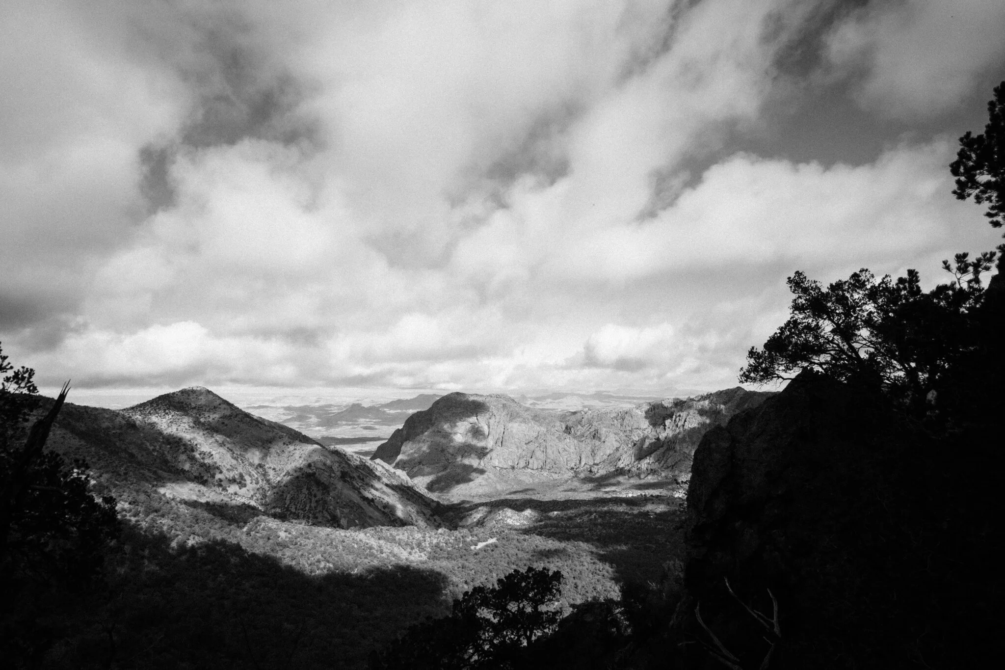 Internet Fun! Quarantine Edition